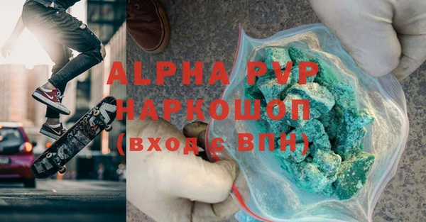 стаф Новозыбков